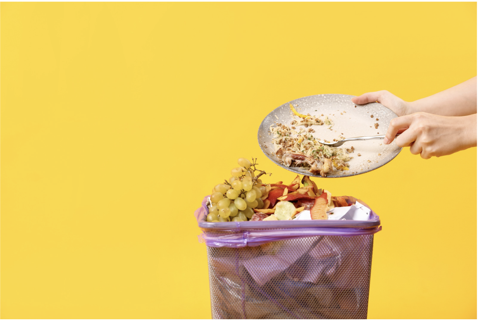 Why Does My Food Go Bad So Fast — And What Can Actually Be Done About It?