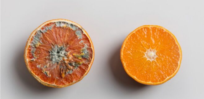 How Does Food Stay Fresh Without Preservatives? The Science Behind It
