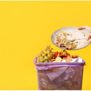 Why Does My Food Go Bad So Fast — And What Can Actually Be Done About It?